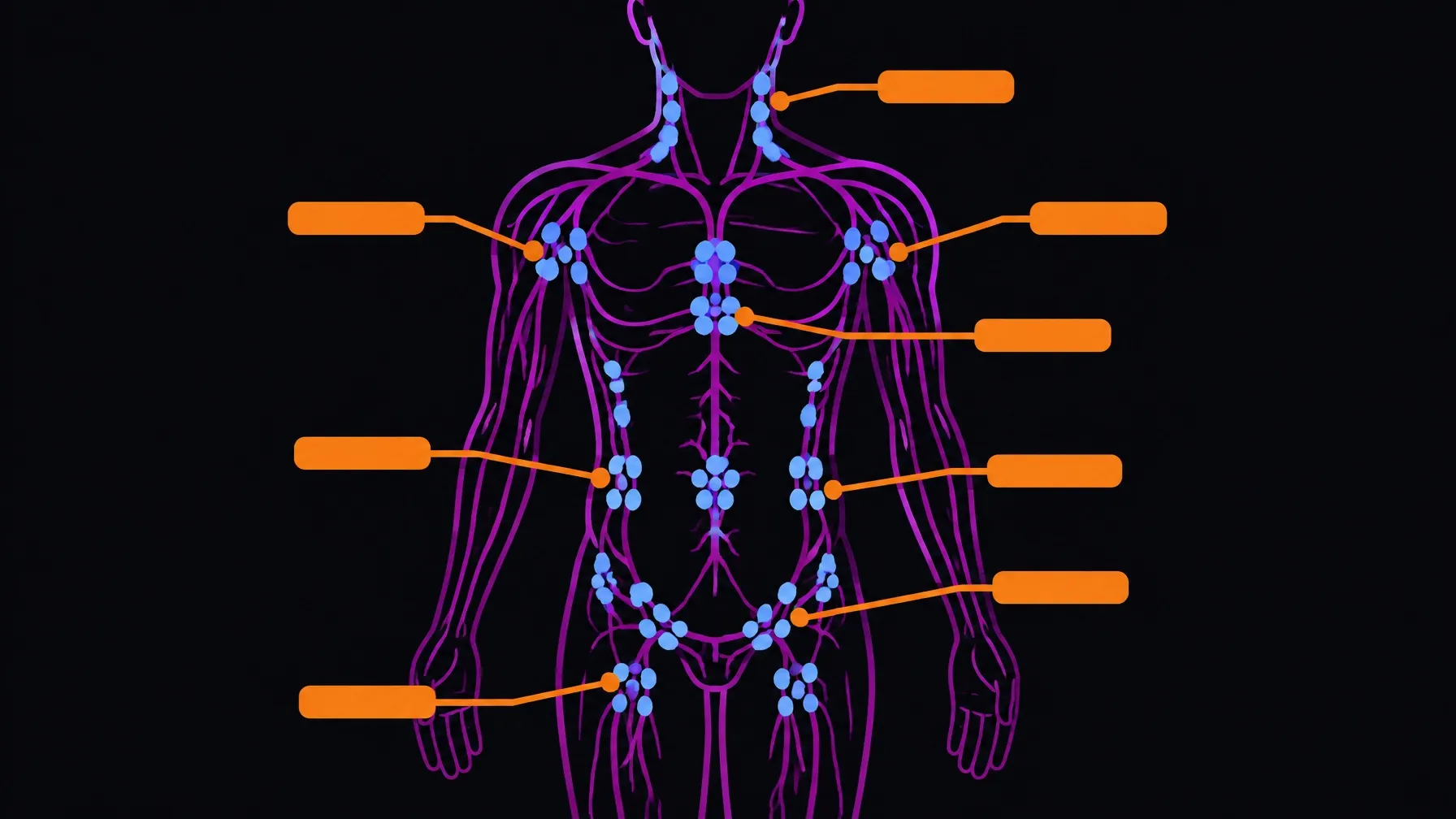 Simplified regional lymph-node chains shown as checkpoints along body drainage routes
